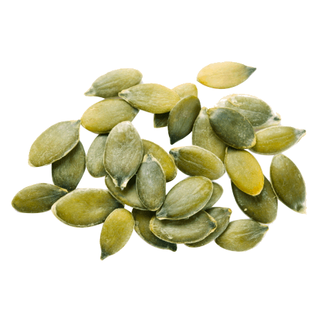 nootropics-ingredients