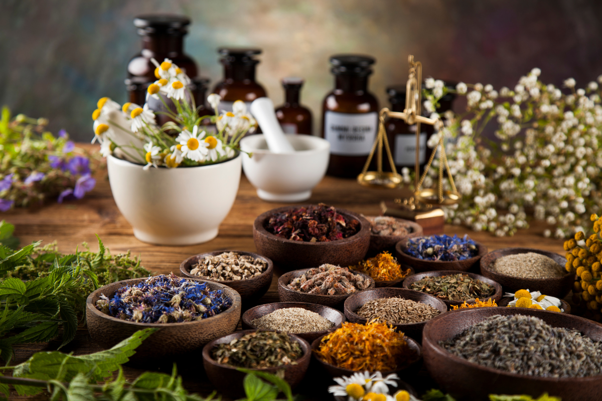 Dried herbs, roots, and flowers arranged on a table with a mortar and pestle.