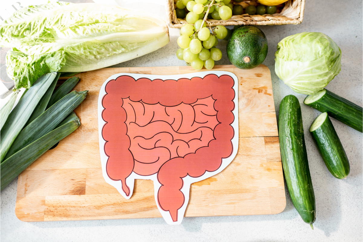 Illustrated digestive system with fresh vegetables on cutting board.