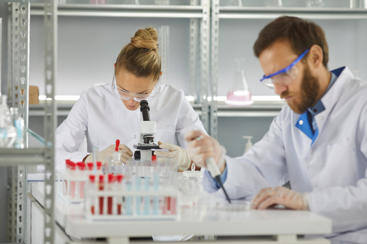 Scientists working in a laboratory, examining samples under a microscope.