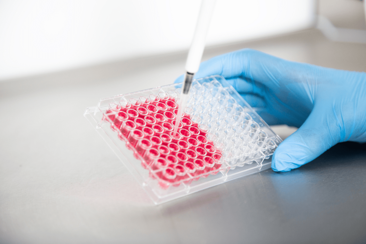 Gloved hand using a pipette to transfer liquid into a laboratory test plate.