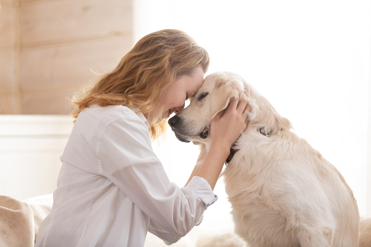 Person gently touching foreheads with a golden retriever in a calm, affectionate moment.