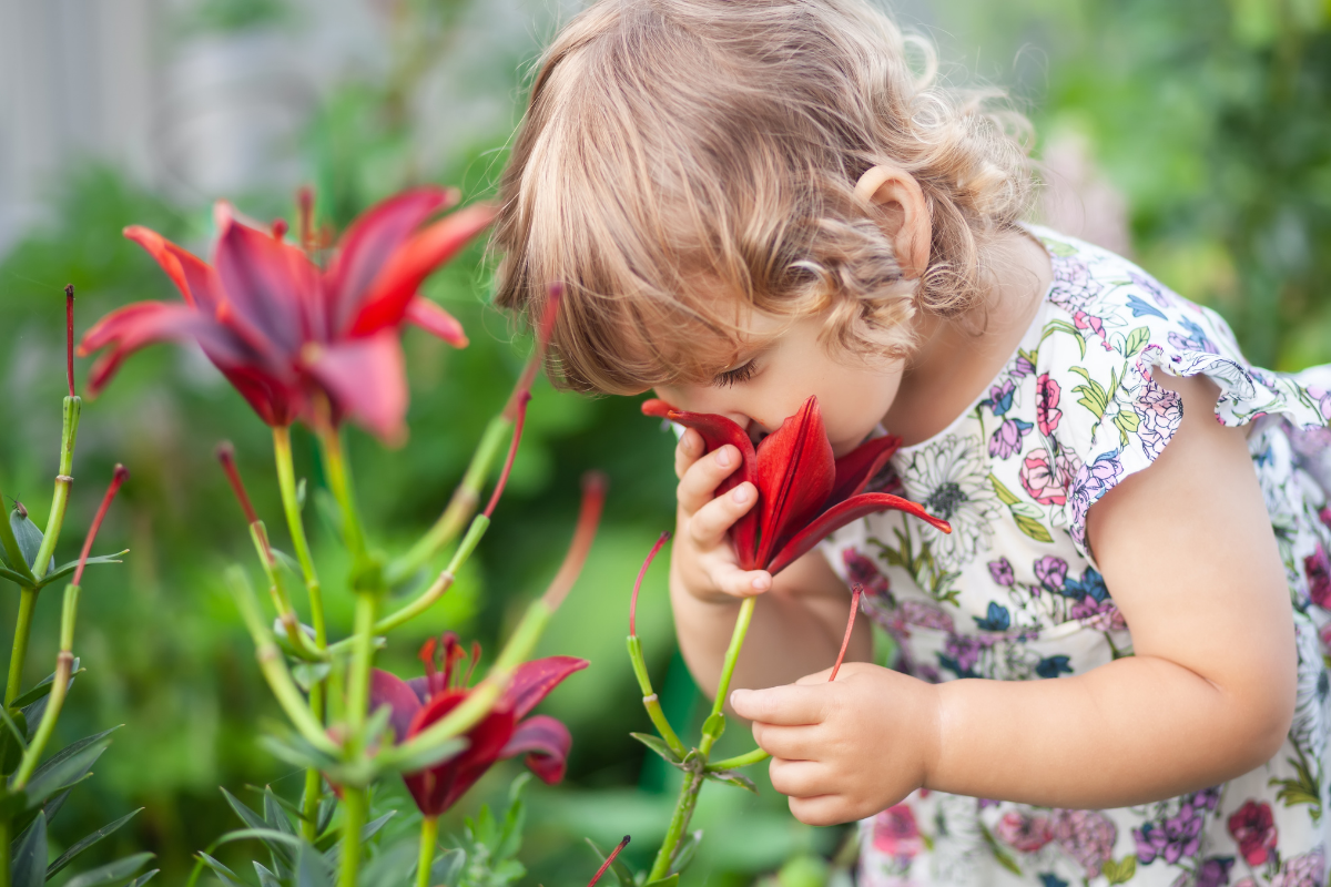 A young child leaning down to smell a bright red lily in a garden.