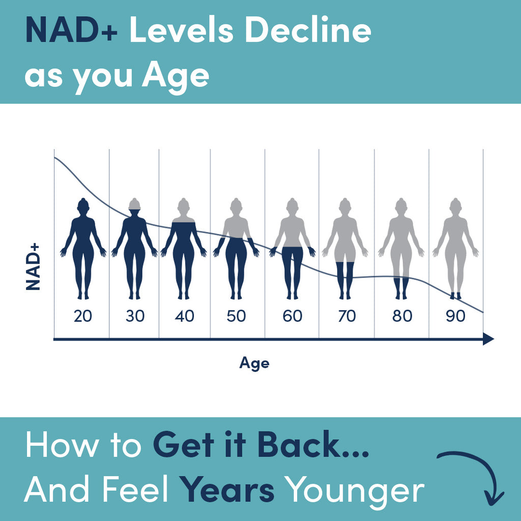 NAD+ levels drop